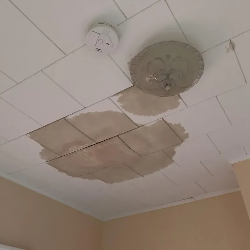 Ceiling Water Damage Repair in La Vista, NE