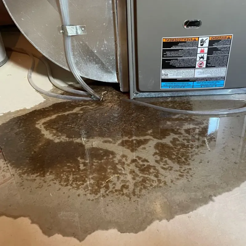 Pipe Burst and Leak Restoration in La Vista, NE